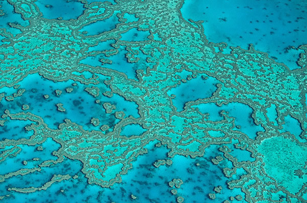 可爱美图 www.bugela.com 非主流图片